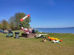 Wasserfliegen in Plau am See (Foto: Teja Albers)