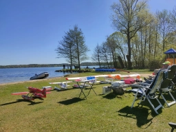 Wasserfliegen in Plau am See (Foto: Teja Albers)