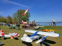 Wasserfliegen in Plau am See (Foto: Teja Albers)