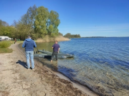 Wasserfliegen in Plau am See (Foto: Teja Albers)