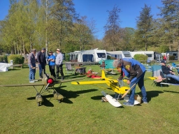 Wasserfliegen in Plau am See (Foto: Teja Albers)