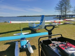 Wasserfliegen in Plau am See (Foto: Teja Albers)