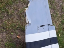  Bild vergrößern 	Vermisste Mustang wurde geborgen (Foto: Jens Janssen) 