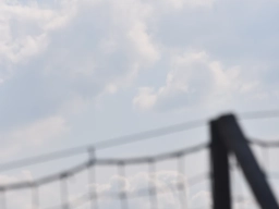 Freundschaftsfliegen 2025