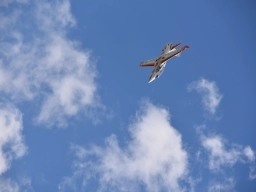 Freundschaftsfliegen 2025