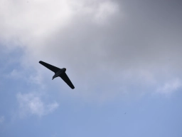 Freundschaftsfliegen 2026