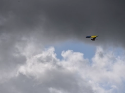 Freundschaftsfliegen 2026
