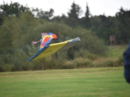 Freundschaftsfliegen 2026