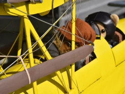 Freundschaftsfliegen 2026