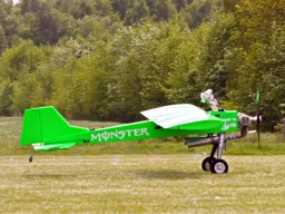 Kuscheltierfliegen 2026 (Foto: Wolfgang Müller)