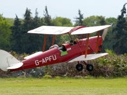 Kuscheltierfliegen 2026 (Foto: Wolfgang Müller)