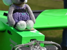 Kuscheltierfliegen 2026