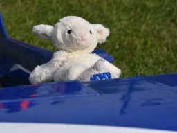 Kuscheltierfliegen 2026